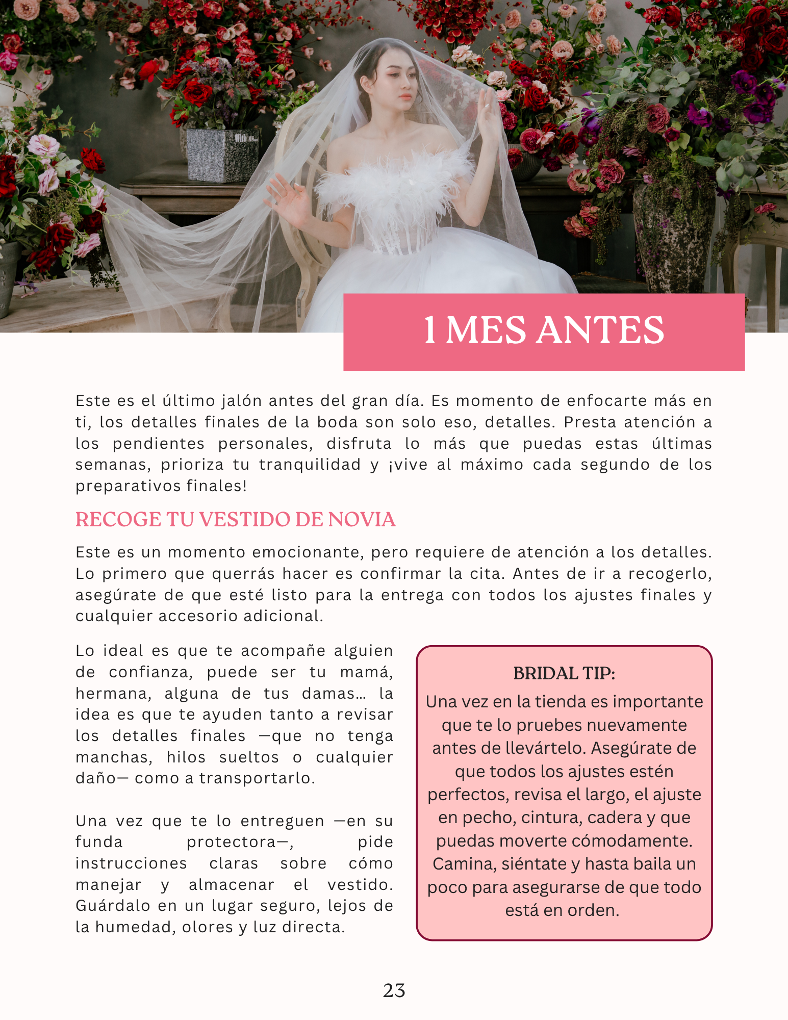 La ruta completa por etapas